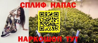 прущие грибы Моздок