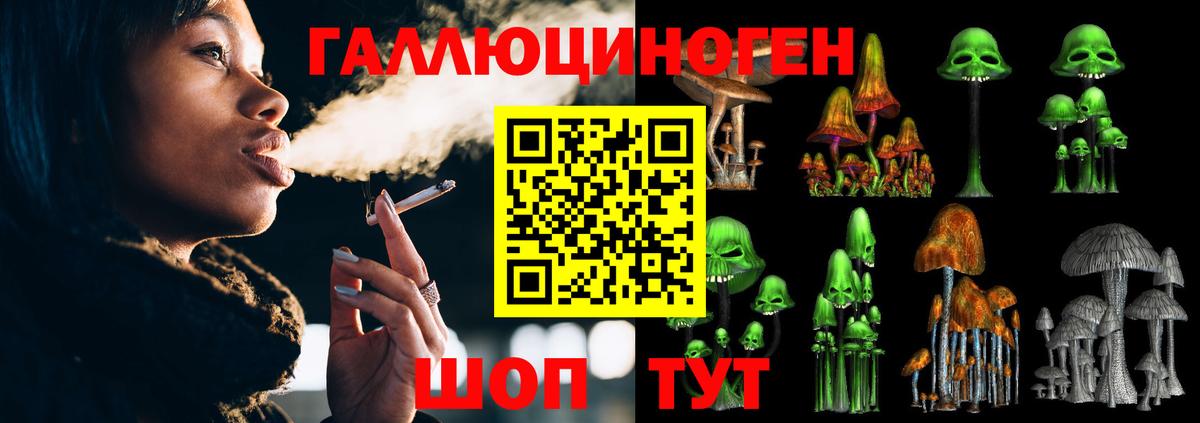 Псилоцибиновые грибы прущие грибы Черемхово