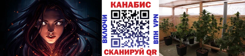 где найти   Черемхово  Конопля гибрид 
